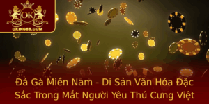 A Ga Mien Nam Di San Van Hoa Ac Sac Trong Mat Nguoi Yeu Thu Cung Viet Nam