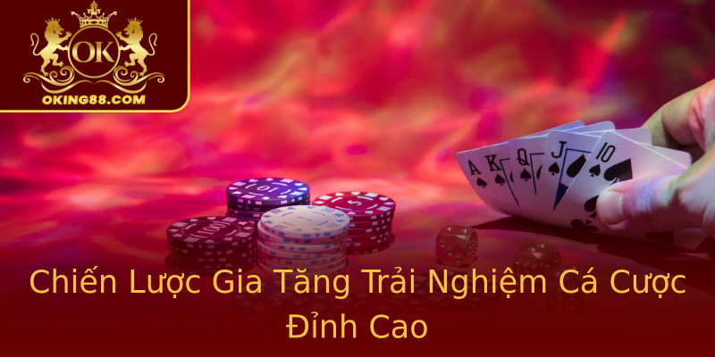 Chiến Lược Gia Tăng Trải Nghiệm Cá Cược Đỉnh Cao Chiến Lược Gia Tăng Trải Nghiệm Cá Cược Đỉnh Cao