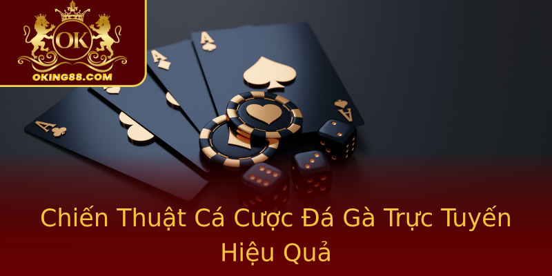 Chiến Thuật Cá Cược Đá Gà Trực Tuyến Hiệu Quả Chiến Thuật Cá Cược Đá Gà Trực Tuyến Hiệu Quả