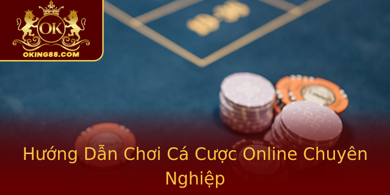 Hướng Dẫn Chơi Cá Cược Online Chuyên Nghiệp Hướng Dẫn Chơi Cá Cược Online Chuyên Nghiệp