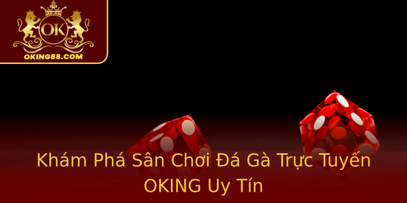 Khám Phá Sân Chơi Đá Gà Trực Tuyến OKING Uy Tín Khám Phá Sân Chơi Đá Gà Trực Tuyến OKING Uy Tín