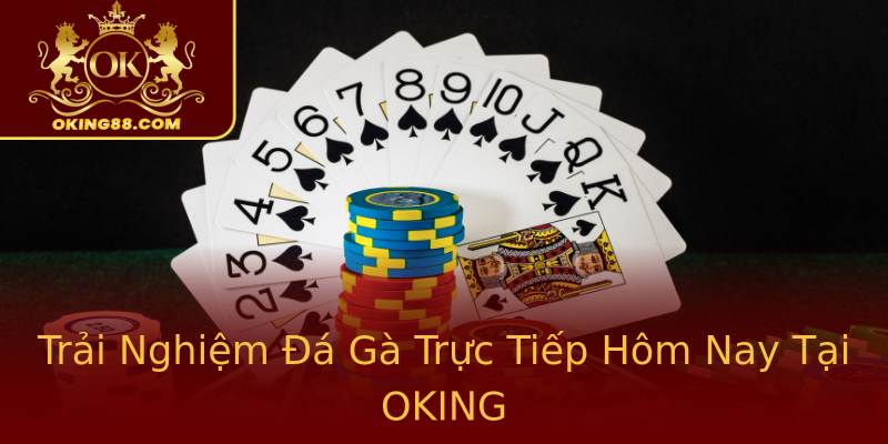 Trải Nghiệm Đá Gà Trực Tiếp Hôm Nay Tại OKING Trải Nghiệm Đá Gà Trực Tiếp Hôm Nay Tại OKING