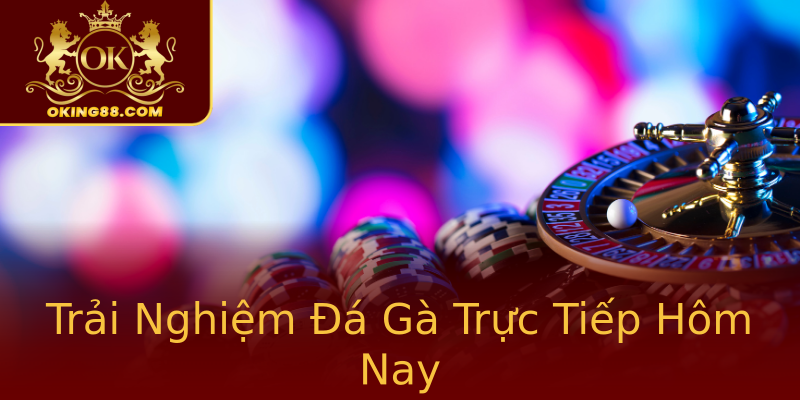 Trải Nghiệm Đá Gà Trực Tiếp Hôm Nay Trải Nghiệm Đá Gà Trực Tiếp Hôm Nay