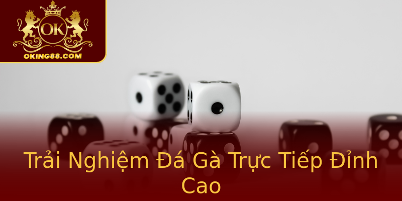 Trải Nghiệm Đá Gà Trực Tiếp Đỉnh Cao Trải Nghiệm Đá Gà Trực Tiếp Đỉnh Cao